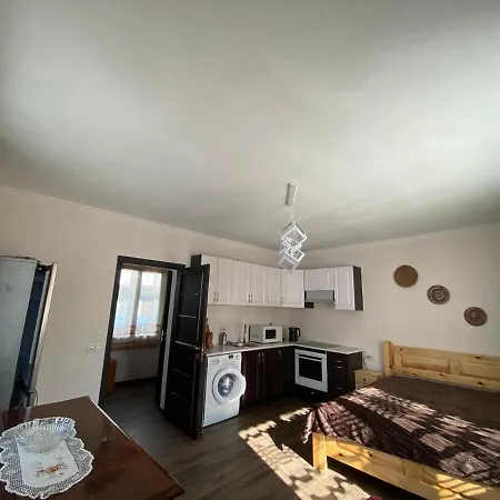 Holiday home карпатська тиша